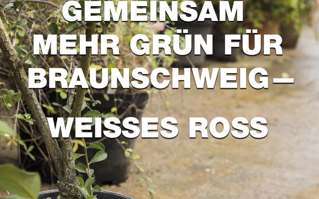 Gemeinsam mehr Grün für Braunschweig